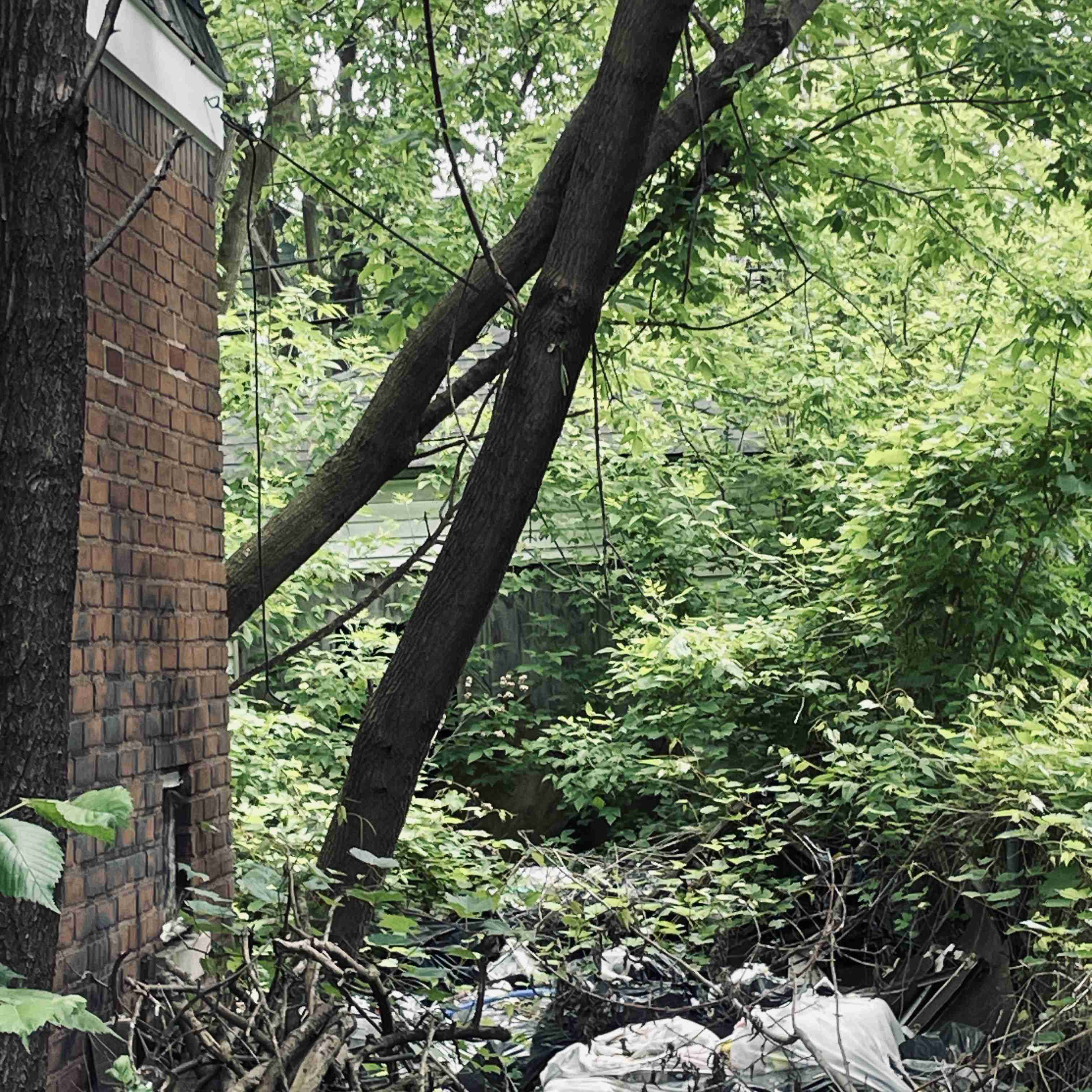 11112 Sanford (17).jpg